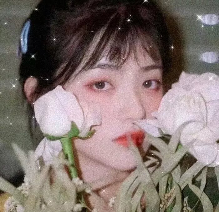 没有心跳的少女